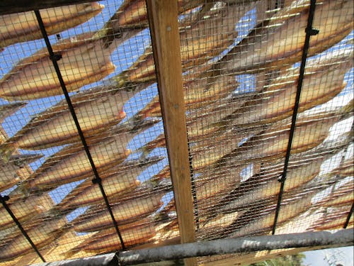 道沿いに干される魚たち