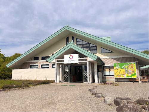 研修先であるモギトーレです!