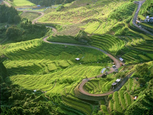 ぜひいろんな体験ツアーを企画してください!