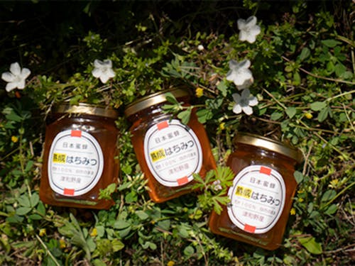 ふるさと納税返礼品のはちみつ