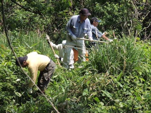 遊歩道整備の様子（道の整備）