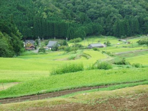 「ほどよく都会」で「ほどよく田舎」