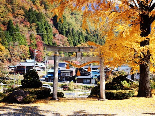 紅葉が美しい 山麓の風景
