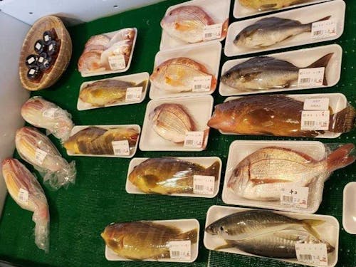 港の近くの市場に並ぶ新鮮な魚