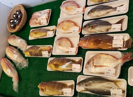 港の近くの市場に並ぶ新鮮な魚