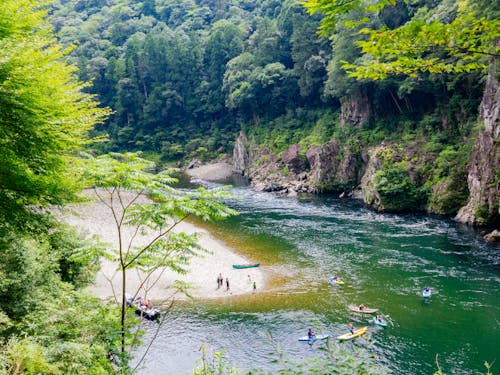 吉野熊野国立公園「瀞峡」で川遊び体験