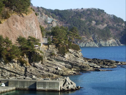 田野畑村にある「ひらなめ海岸」は”白亜紀化石産地”として知られています。