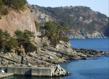 田野畑村にある「ひらなめ海岸」は”白亜紀化石産地”として知られています。