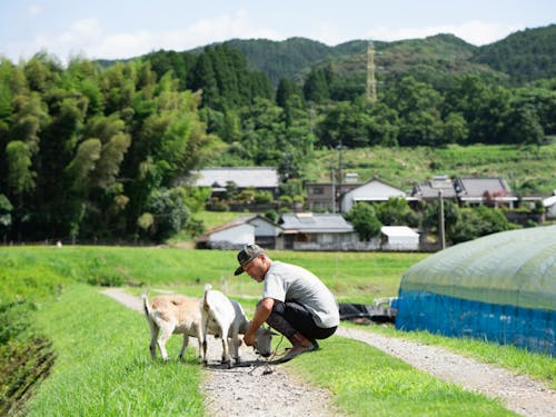 補助金をうまく使って頂き、憧れの田舎暮らしを実現しませんか?