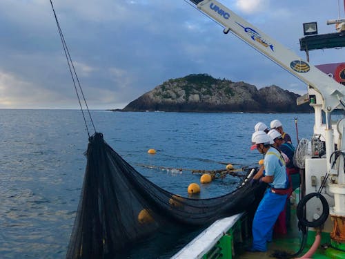 株式会社ゲイトさんによる漁師体験(海のしごと)。