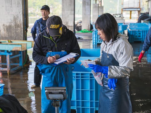 帰港後は女性従業員も加わり、選別・仕分け作業を行う。