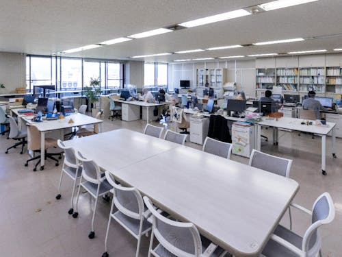 フリーアドレスを採用している未来戦略課。窓際にはカウンター席も