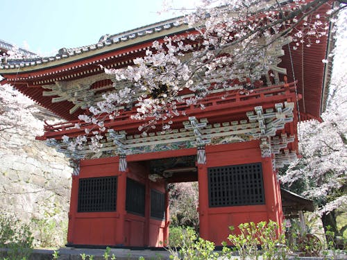 雨引観音は関東でも有数の子育祈願の霊場です