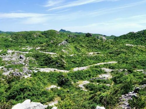 豊かな自然の中での農業に注目