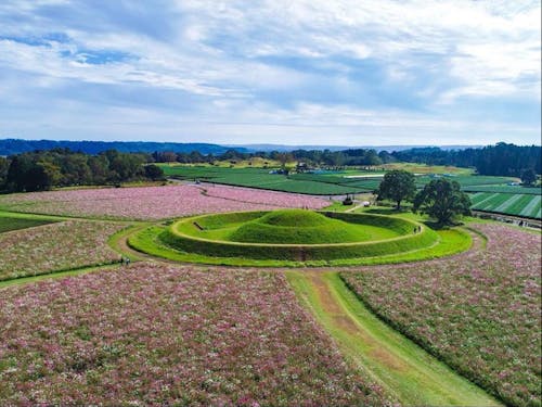 西都市の魅力といえば西都原古墳群