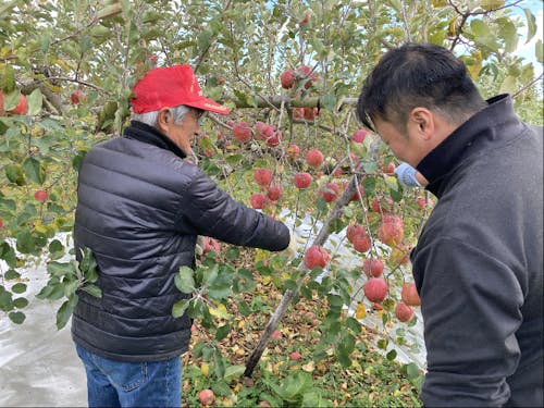 昨年度のお試し就農の様子