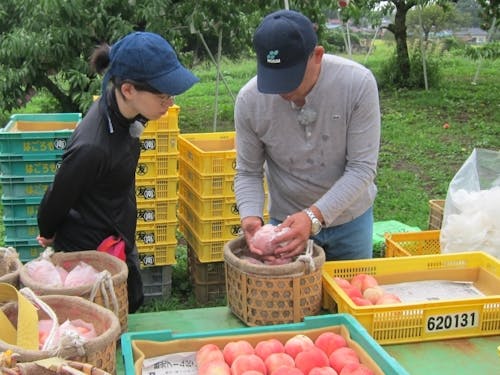 昨年度の農業体験の様子です!