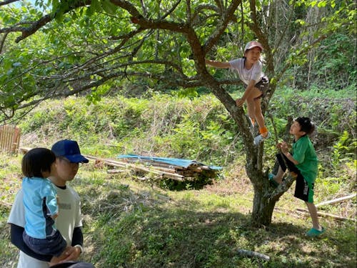 自然の中で遊ぶ子供たち