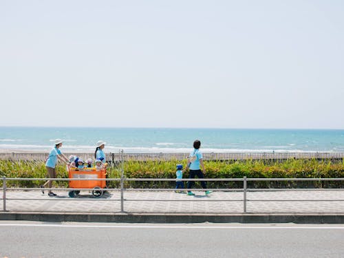 晴れた日のお散歩は気持ちがいい!