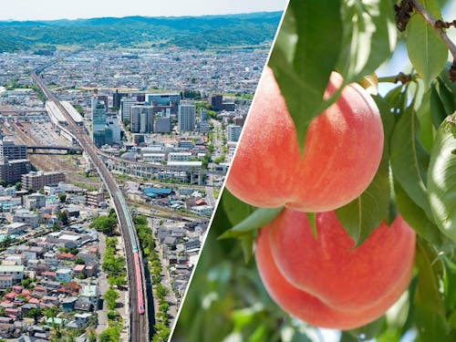 東京から新幹線で約90分。7～8月はモモが旬を迎えます。