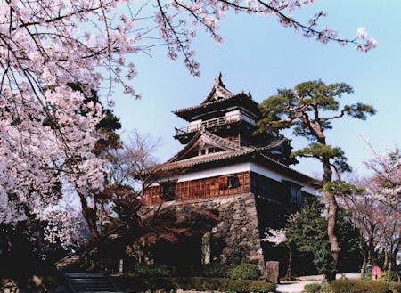 丸岡城