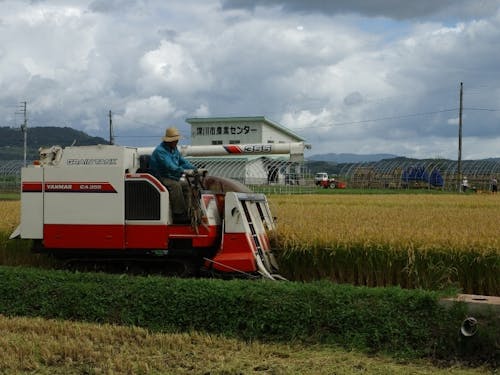 農業風景の様子