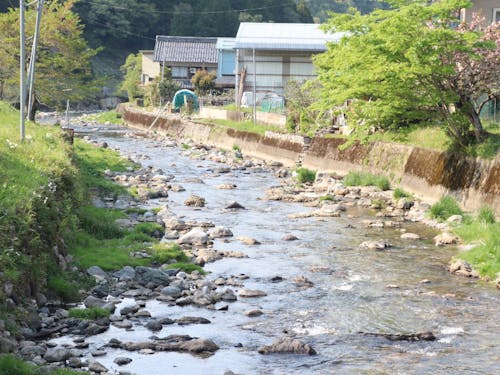 米原のいろんな姿、お見せします!