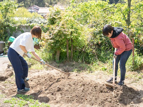休日に畑作業をする島体験生
