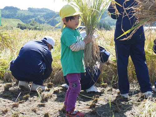 地元の休耕田を活用した田植え、稲刈りを体験出来ます。地元の皆様の手厚いサポートがありますので安心してください。