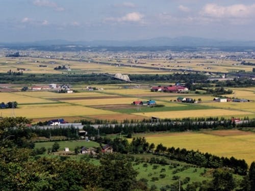 田園の広がる深川市