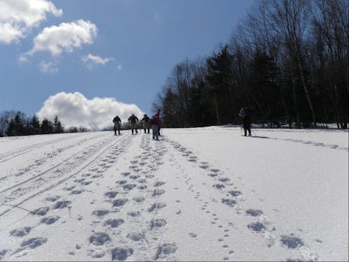 スノーシューを履いて、新雪に足跡