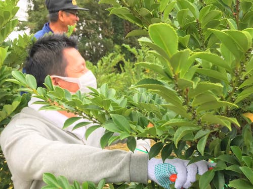 農家さんと一緒に仕事をして汗を流し、頭をからっぽにしてみましょう!