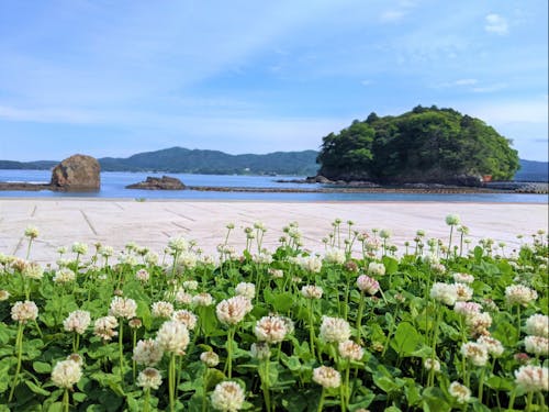 まちのシンボル荒島