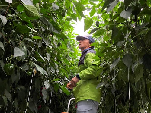 新田ファーム　新田浩さん