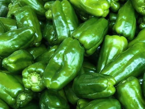 西都市は農業のまち。新鮮な野菜がたっぷり。