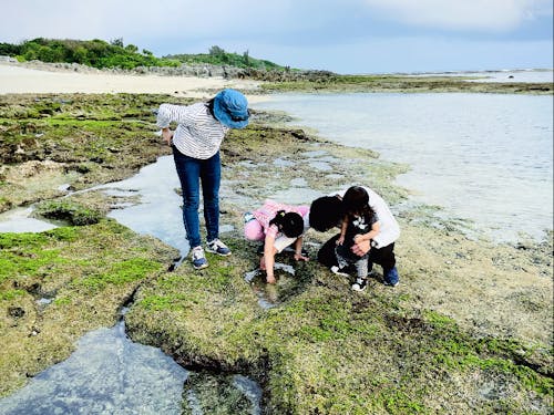 海にはおもしろい生き物がいっぱい!