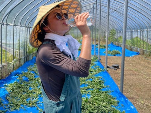 起業型協力隊仲間 木本さん。ドイツで数十年アーティストとして活動し帰国。藍の栽培、藍染めを行う。