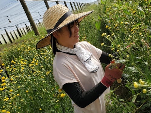 お花農家さんで。