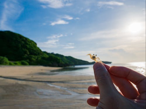 自然の遊びがたくさん。
