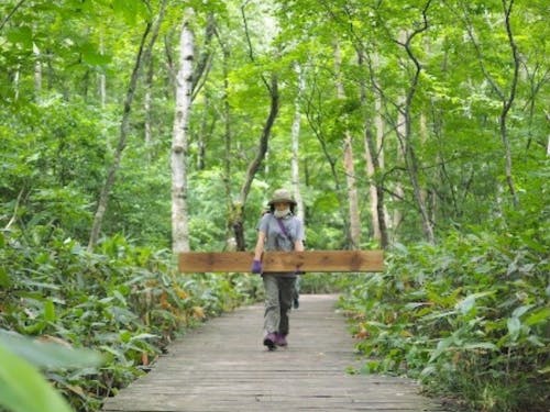 緑のリトリートプログラムの例 苗場ボードウォーク