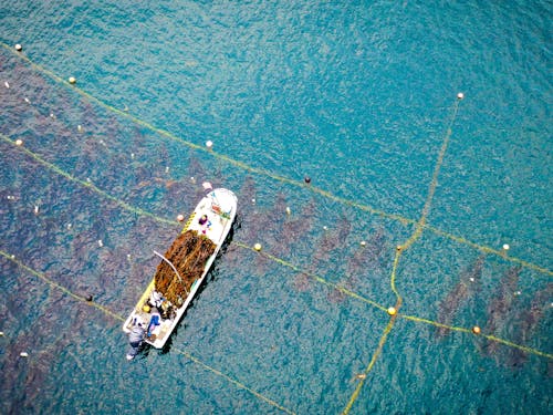 町の発展とともにある特産品の「昆布」