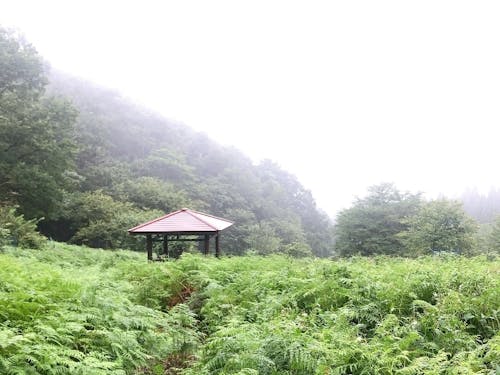 森のなかのあづまや