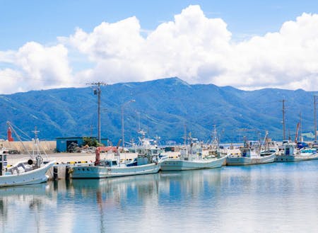 山と海を身近に感じられる「寿都漁港」