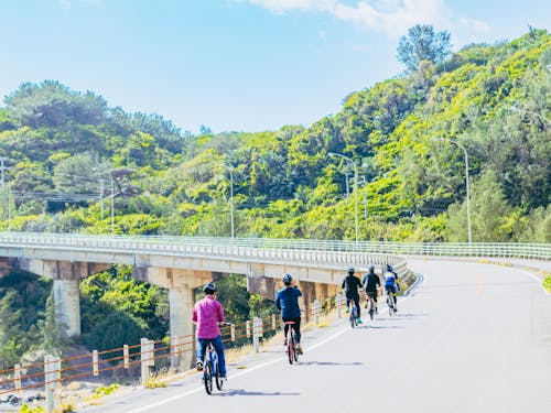 昨年度のプログラムの様子(国頭村)