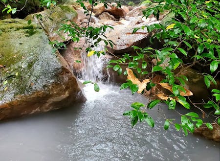 栗野岳には川のように温泉が流れています