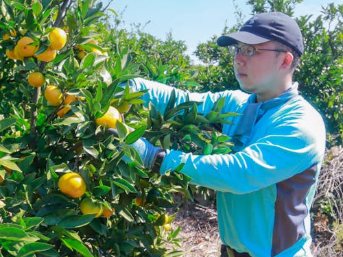 1期生の百田さん。研修制度の時間のコスパの良さが魅力と感じているそう。