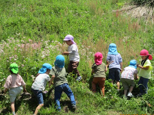 保育園の子たちの遊び場は、集落中にあります⛰ 畑でさつま芋の苗を植え(苗は寝かせる)、そのままだと苗が地面と近くて暑いから草を置いて枕をしてあげます❤️ 苗の気持ちになって、心地良さそうな草を探すのに夢中です🌱