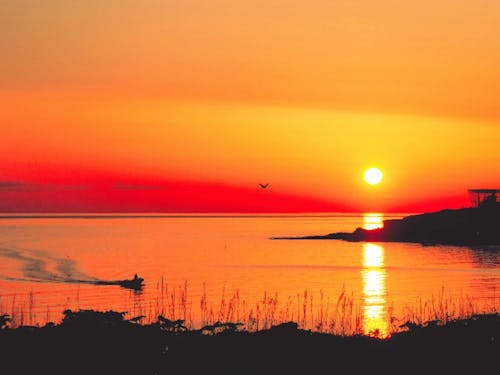 海から朝陽が昇る雄武町。この朝焼けに惚れて移住する方も多いんです。
