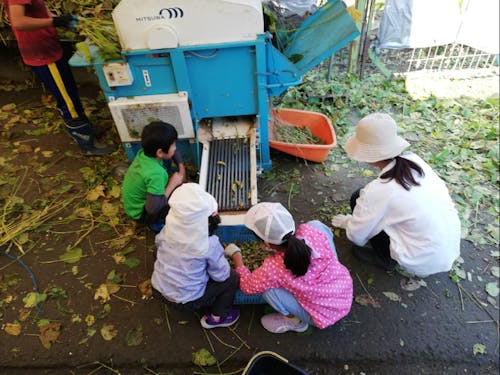昨年の「里山ボランティア」の様子