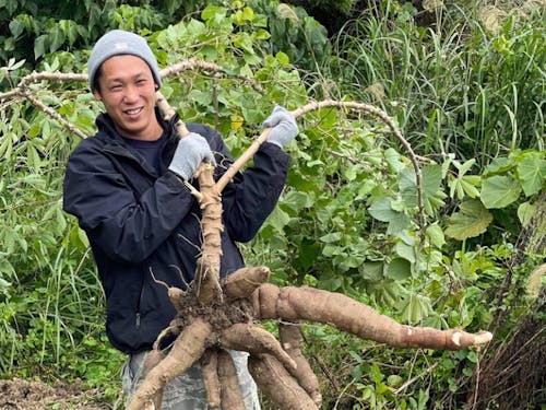 キャッサバが食のミライを変える!?